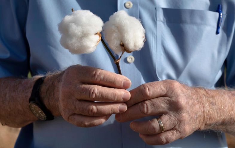 U.S. Cotton in the Textile Industry: Consistency, Quality, and Sustainability